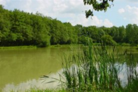 Etang de La Reuche