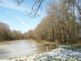 Etang de La Reuche